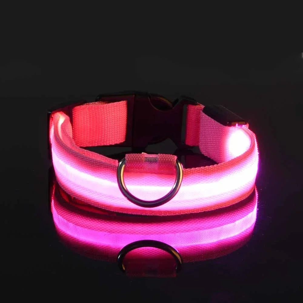 Collar con luz para perros