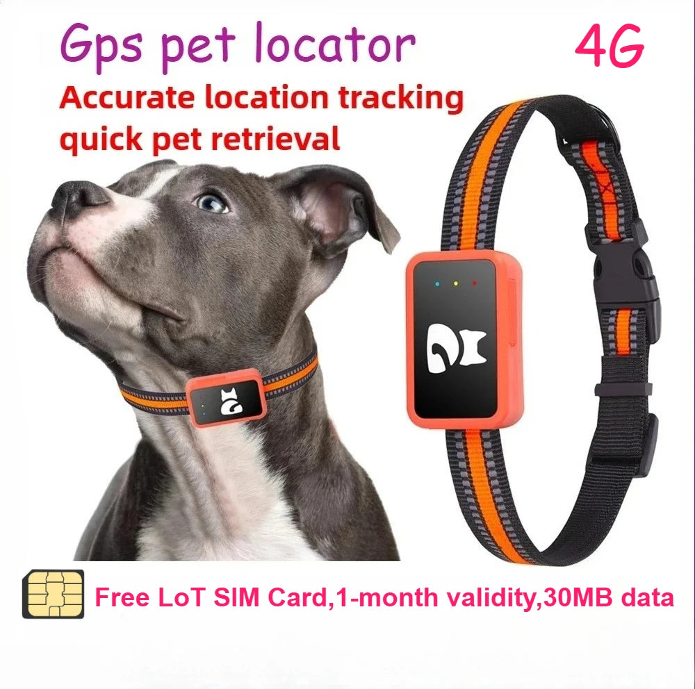 Gps pet pat